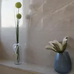Villa Camelia