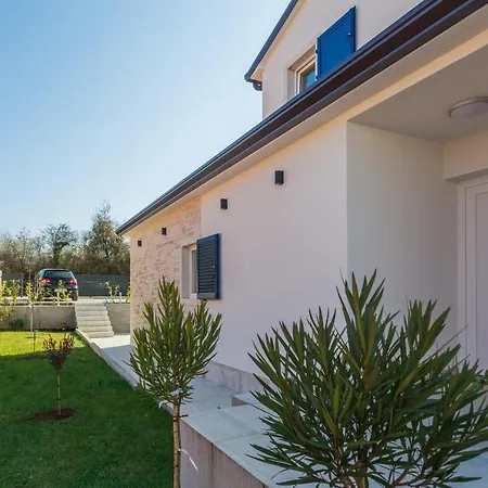 Camelia * Tar-Vabriga