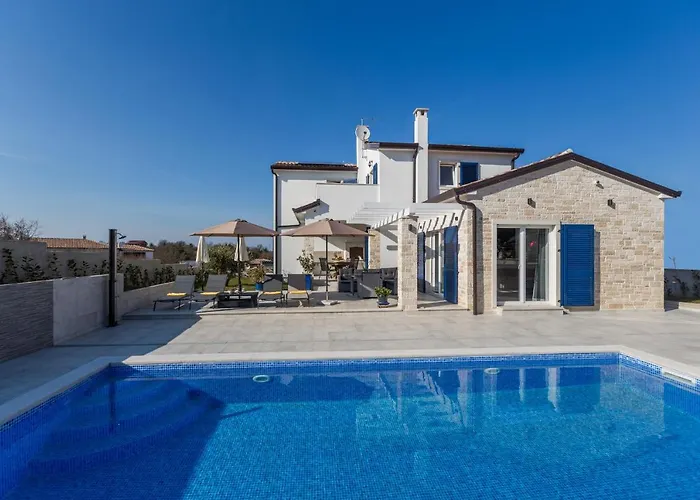 Camelia * Tar-Vabriga