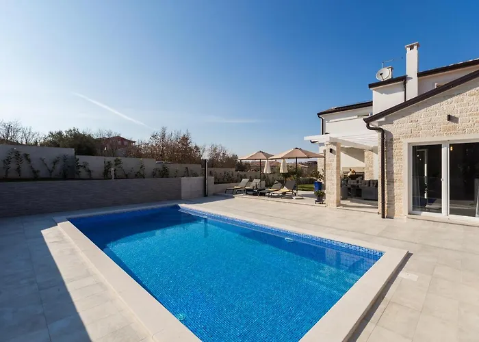 Camelia * Tar-Vabriga