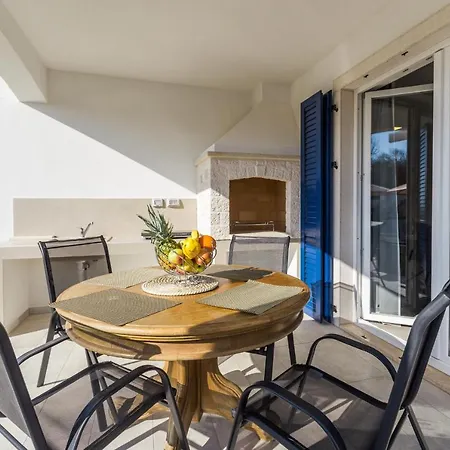 Camelia فيلة Tar-Vabriga