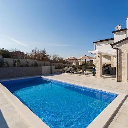 Camelia * Tar-Vabriga