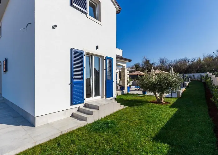 Camelia * Tar-Vabriga